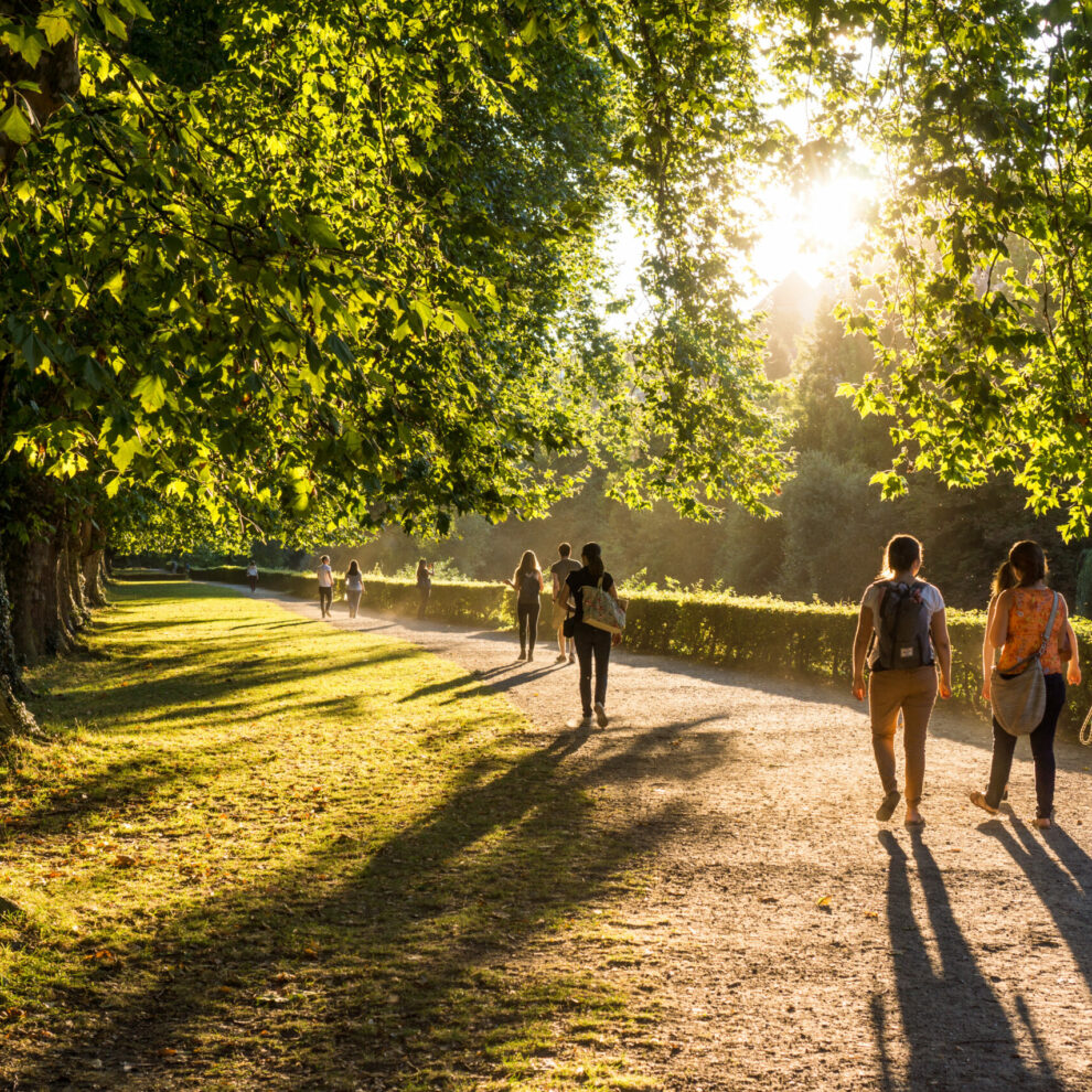 Spaziergänger Im Park In Der Abendsonne